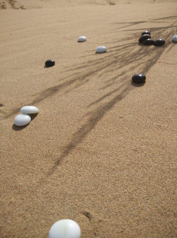 全网独家语音视频讲解房间上线，欢迎有志于围棋远程教学的朋友加盟烂柯 ... ... ...